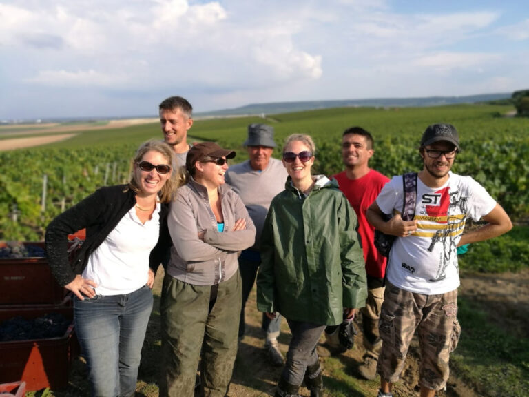 Vendanges manuelles au domaine Charnay Boutroy en 2017